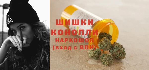 PSILOCYBIN Алексеевка