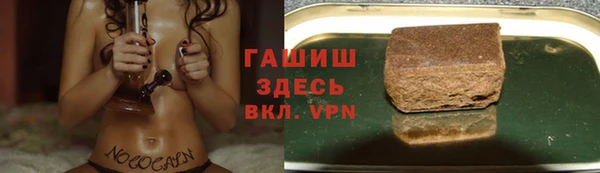 шишки Алексин