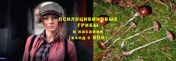 шишки Алексин