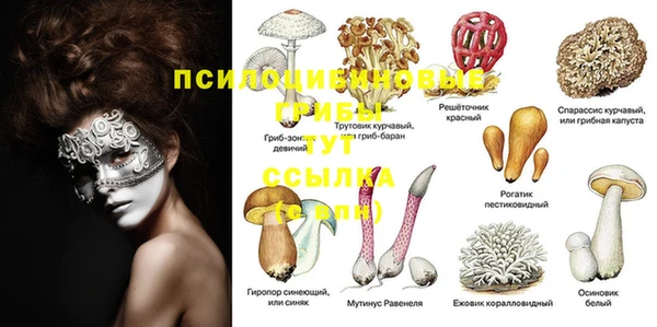 PSILOCYBIN Алексеевка