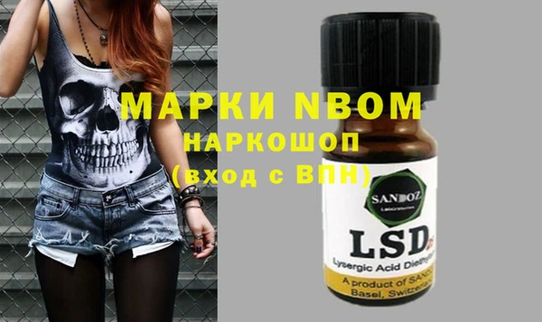 шишки Алексин