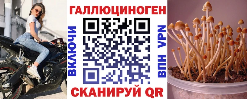 мориарти Telegram  Заволжск  Галлюциногенные грибы GOLDEN TEACHER  ОМГ ОМГ ссылка 
